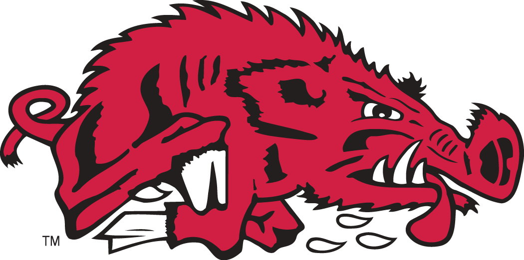 Arkansas Razorbacks 1976-1993 Alternate Logo diy iron on heat transfer